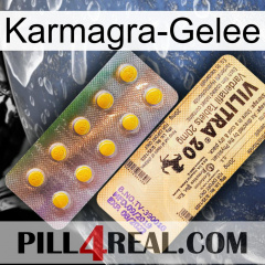 Karmagra Jelly new06